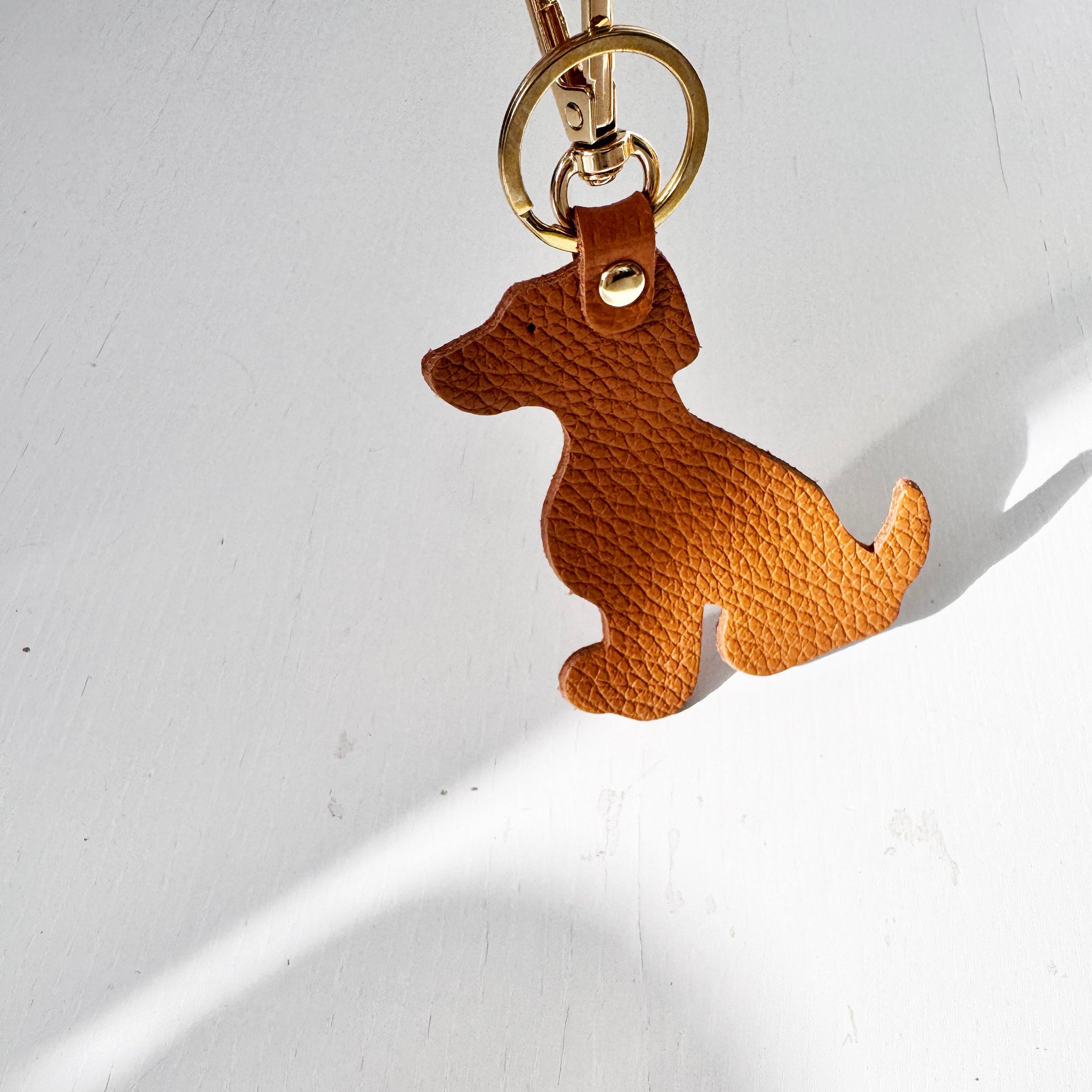 Charm perro camel